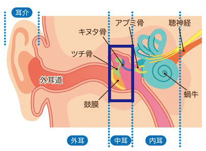 耳が聞こえにくい場合の疾患と治療法とは 大阪の こにし耳鼻咽喉科