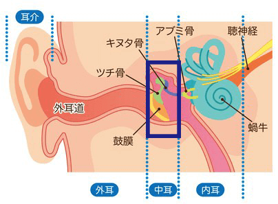 耳 にくい が 聞こえ の 片方