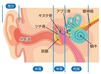 そもそも 中耳炎ってどんな病気なのか？